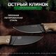 Складной нож Стерх, сталь ШХ15, рукоять дерево, изображение 5