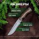 Нож Галеон из дамасской стали, рукоять ореховый кап, литьё мельхиор, Название цвета: Темно-серый; Дамасская сталь; Рукоять ореховый кап, Страна-производитель: РОССИЯ, изображение 5