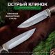 Нож Лазутчик из дамасской стали, рукоять ореховый кап, литьё мельхиор, Название цвета: Серый металлик, коричневый; Дамасская сталь; Рукоять ореховый кап, Страна-производитель: РОССИЯ, изображение 5